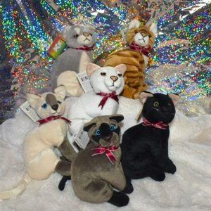 Dream Play Cat Collection Bean Bag Plush VERY RARE Take Me Home Lot of Six